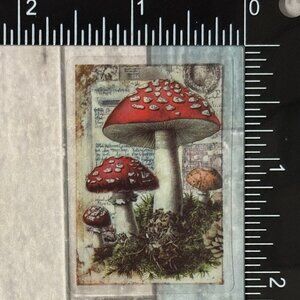 🌀10/$10🌀 Translucent Retro Mushroom Fairy Tale Reusable Waterproof Sticker Dec